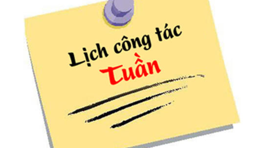 Tin tức - Sự kiện